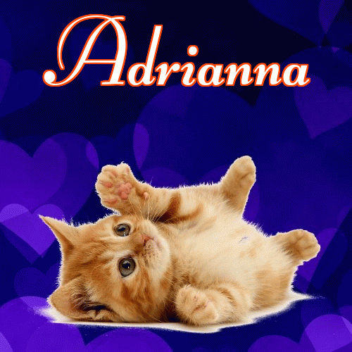 Milusich snów! Dobranoc!。 