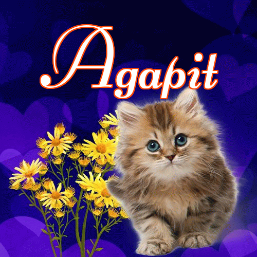 Milusich snów! Dobranoc!。 