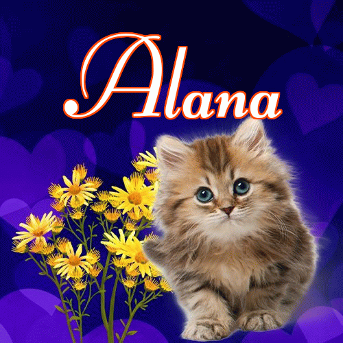 Milusich snów! Dobranoc!。 