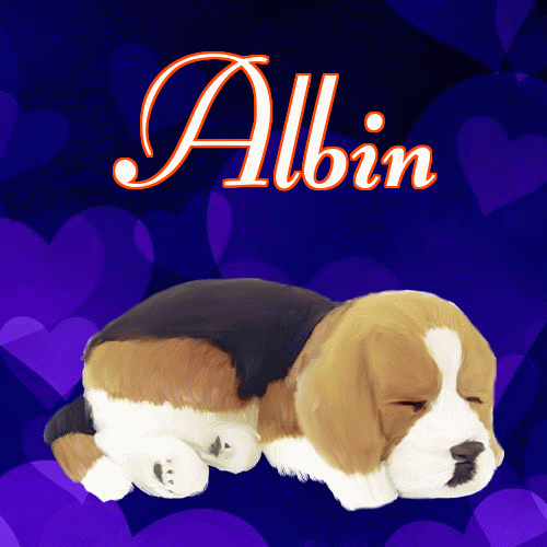 Milusich snów! Dobranoc!。 