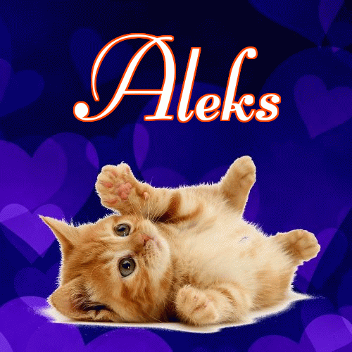 Milusich snów! Dobranoc!。 