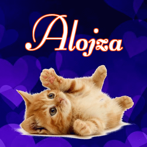 Milusich snów! Dobranoc!。 