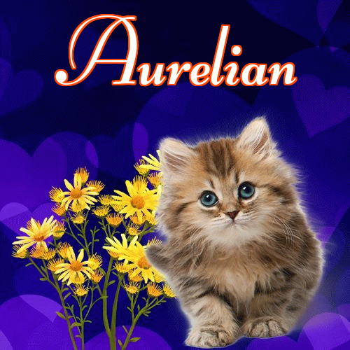 Milusich snów! Dobranoc!。 