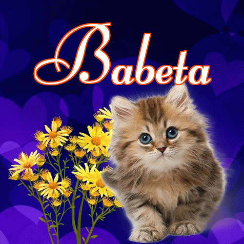 Milusich snów! Dobranoc!。 