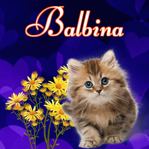 Milusich snów! Dobranoc!。 