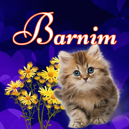 Milusich snów! Dobranoc!。 