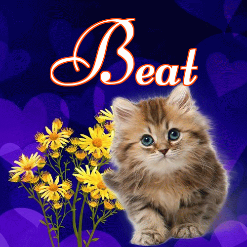 Milusich snów! Dobranoc!。 