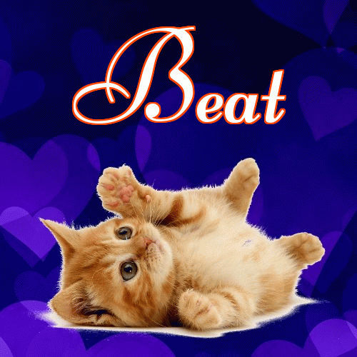 Milusich snów! Dobranoc!。 