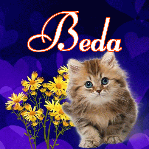 Milusich snów! Dobranoc!。 