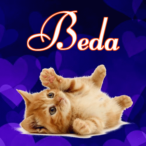 Milusich snów! Dobranoc!。 