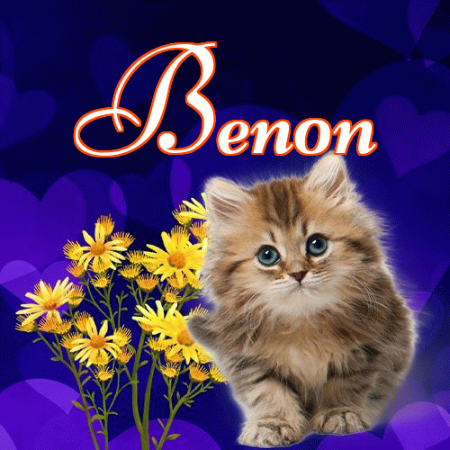 Milusich snów! Dobranoc!。 