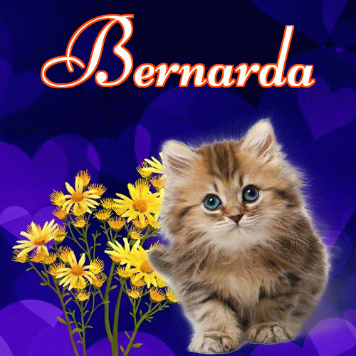 Milusich snów! Dobranoc!。 