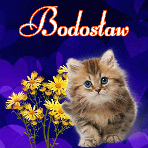 Milusich snów! Dobranoc!。 