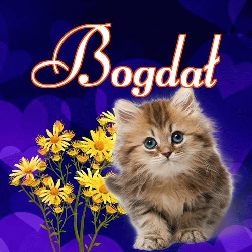 Milusich snów! Dobranoc!。 