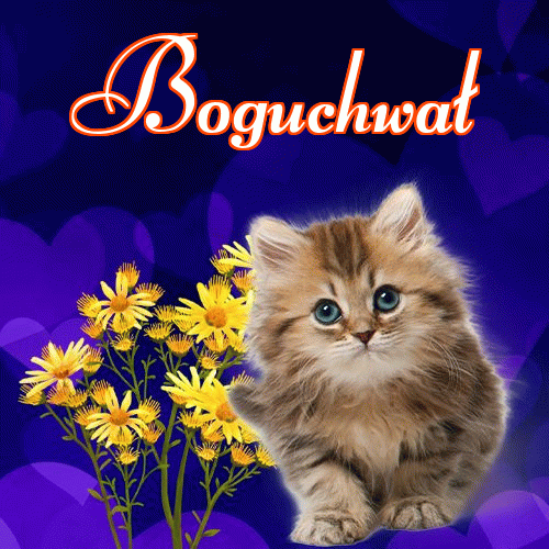 Milusich snów! Dobranoc!。 