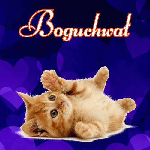 Milusich snów! Dobranoc!。 