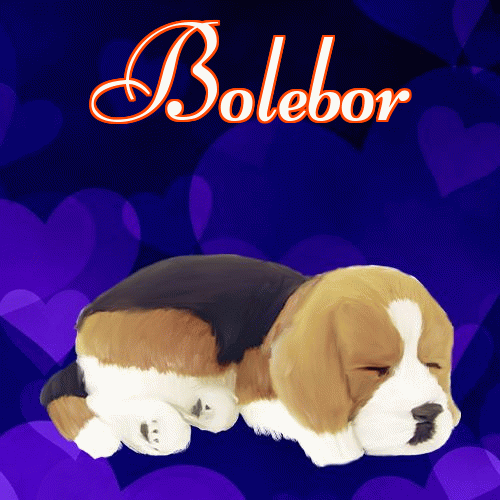 Milusich snów! Dobranoc!。 