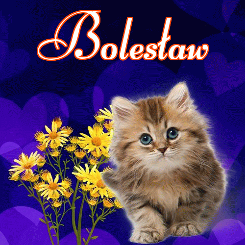 Milusich snów! Dobranoc!。 