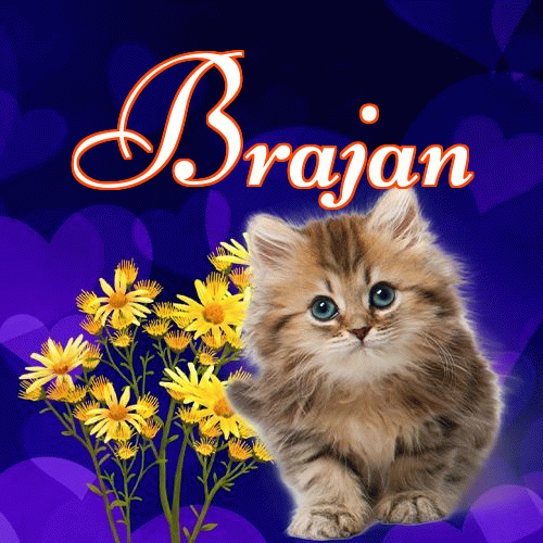 Milusich snów! Dobranoc!。 