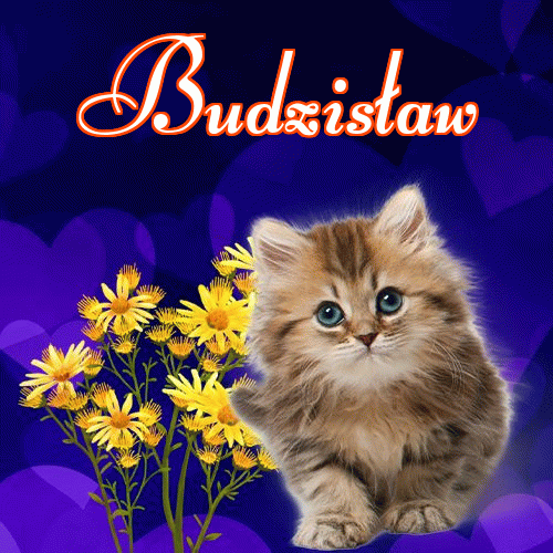 Milusich snów! Dobranoc!。 