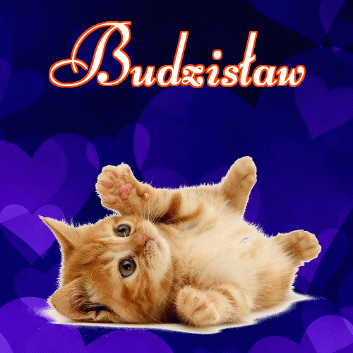 Milusich snów! Dobranoc!。 