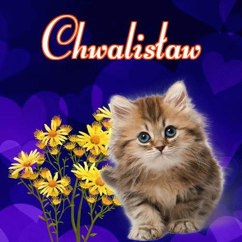 Milusich snów! Dobranoc!。 