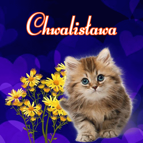 Milusich snów! Dobranoc!。 