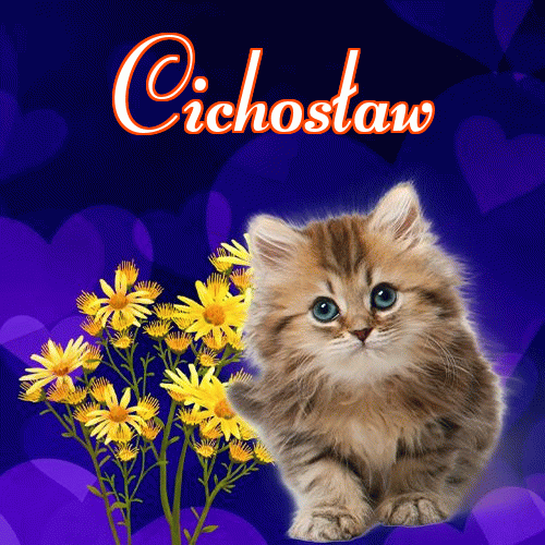 Milusich snów! Dobranoc!。 