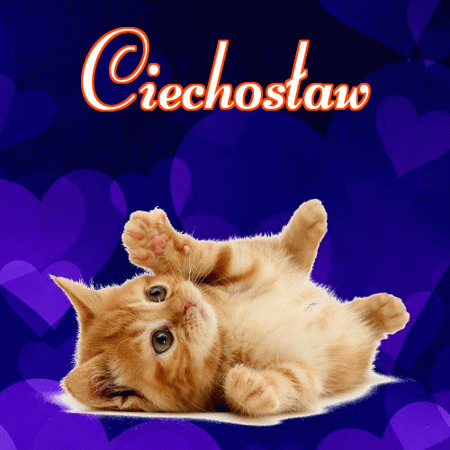 Milusich snów! Dobranoc!。 