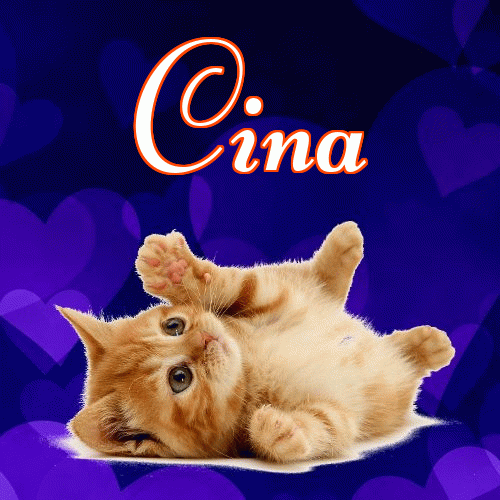 Milusich snów! Dobranoc!。 