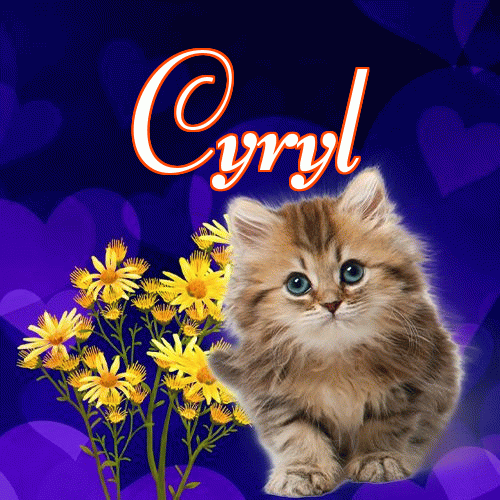 Milusich snów! Dobranoc!。 