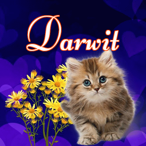 Milusich snów! Dobranoc!。 