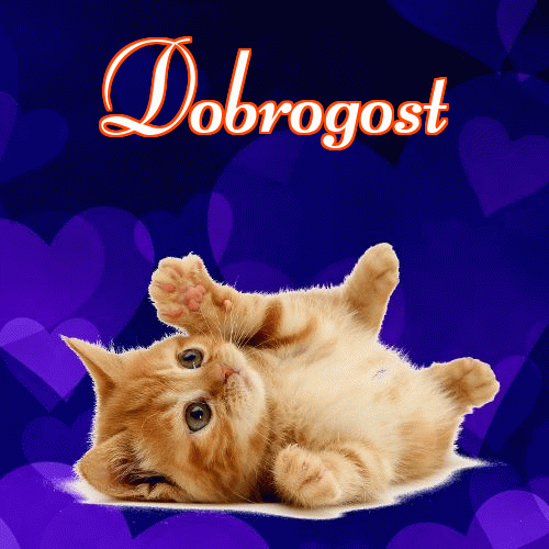 Milusich snów! Dobranoc!。 