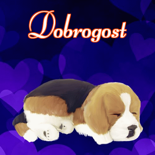 Milusich snów! Dobranoc!。 