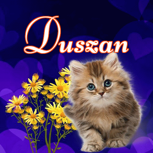 Milusich snów! Dobranoc!。 