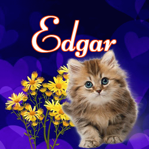 Milusich snów! Dobranoc!。 