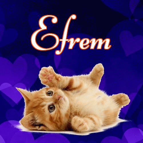 Milusich snów! Dobranoc!。 