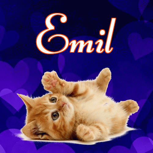 Milusich snów! Dobranoc!。 