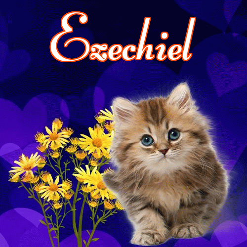 Milusich snów! Dobranoc!。 