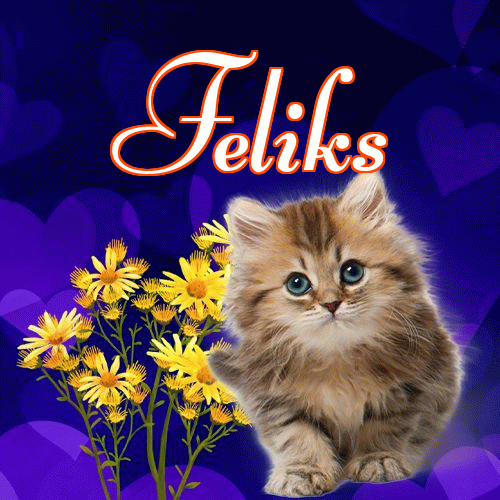 Milusich snów! Dobranoc!。 