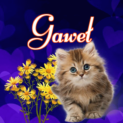 Milusich snów! Dobranoc!。 