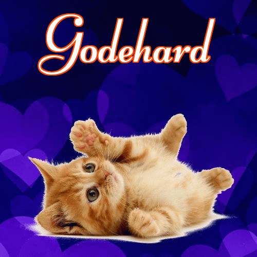 Milusich snów! Dobranoc!。 