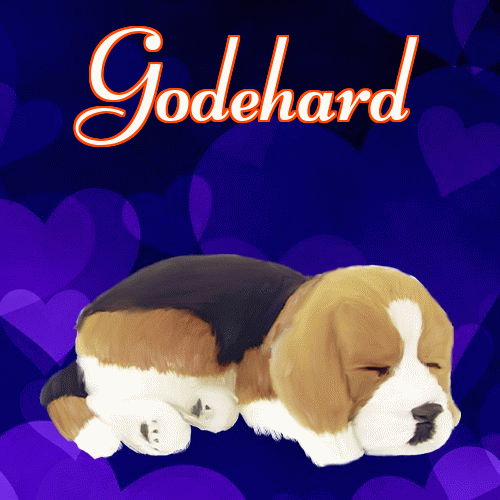 Milusich snów! Dobranoc!。 