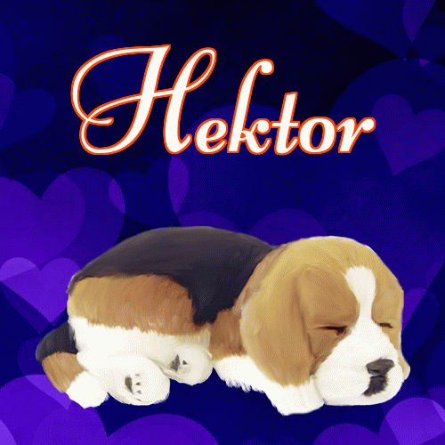 Milusich snów! Dobranoc!。 