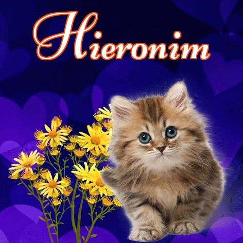 Milusich snów! Dobranoc!。 