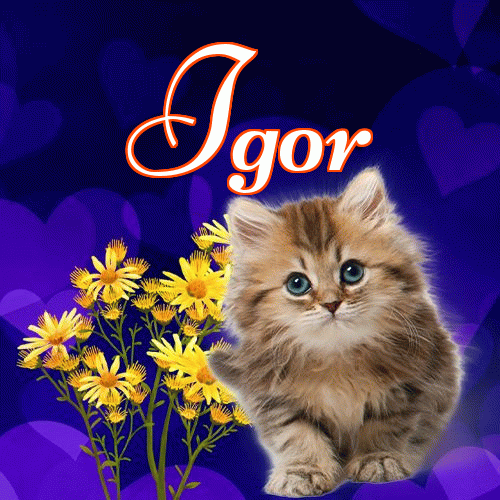 Milusich snów! Dobranoc!。 