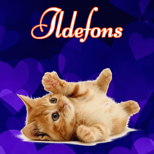 Milusich snów! Dobranoc!。 