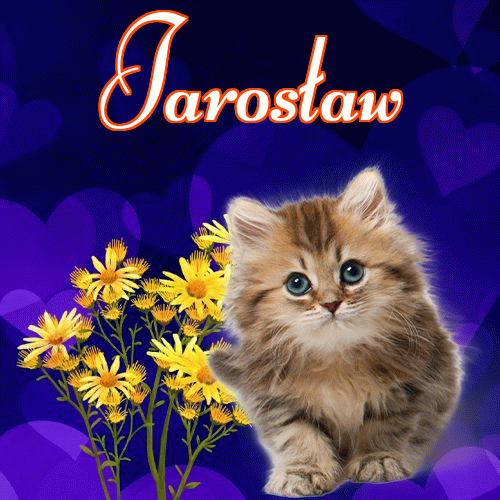 Milusich snów! Dobranoc!。 