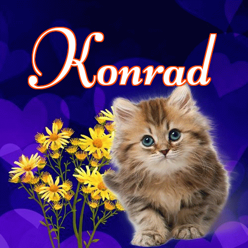 Milusich snów! Dobranoc!。 