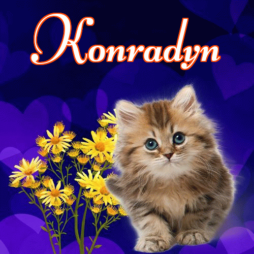 Milusich snów! Dobranoc!。 